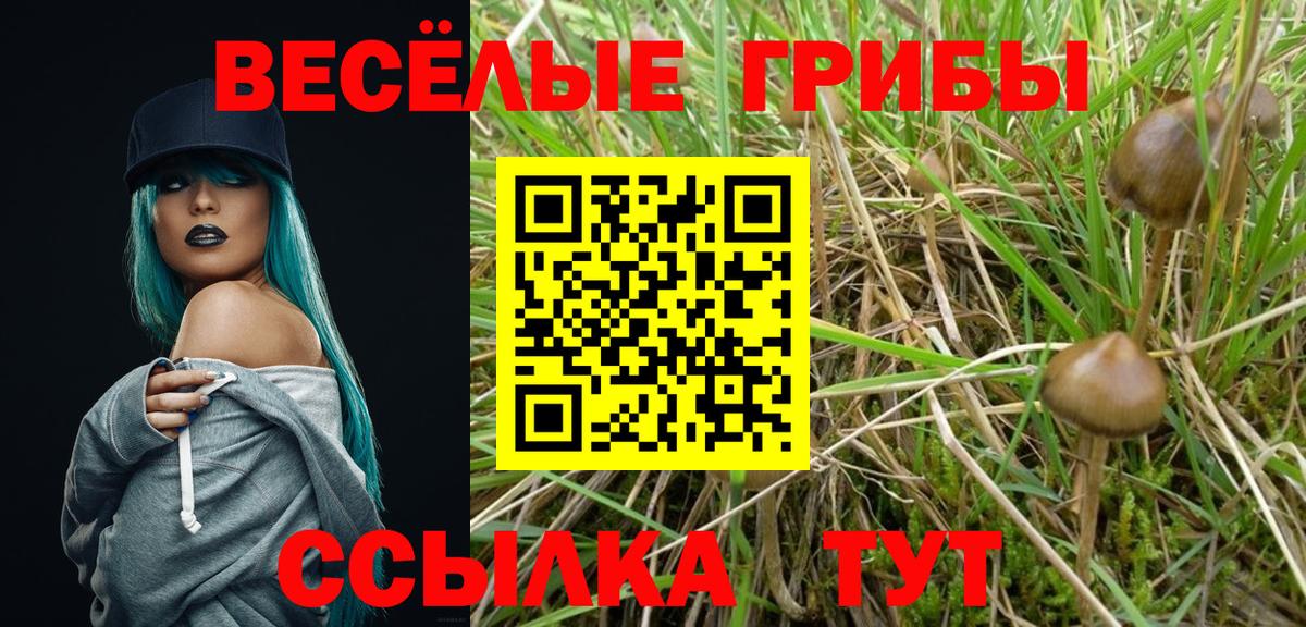 Псилоцибиновые грибы мухоморы Семилуки